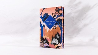 - Frankenstein (Vintage Collector'S Classics) - ldekorlt