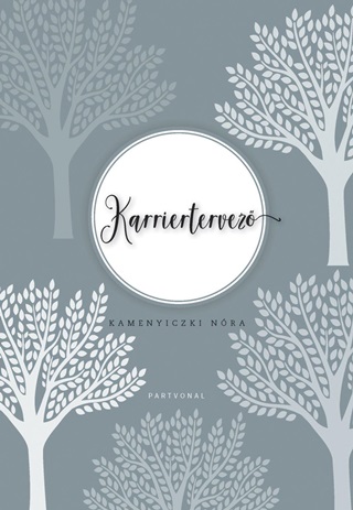 Kamenyiczki Nra - Karriertervez