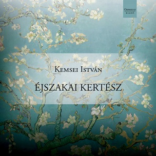 Kemsei Istvn - jszakai Kertsz