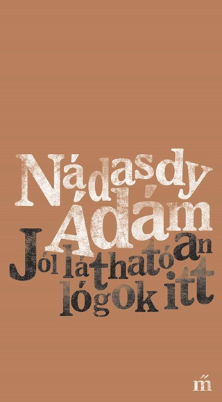 Ndasdy dm - Jl Lthatan Lgok Itt