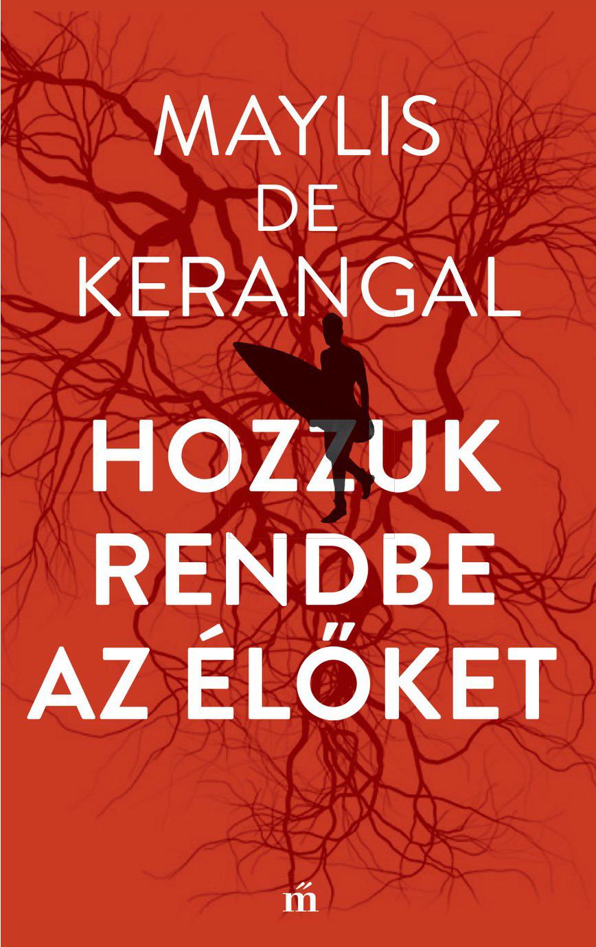 De Maylis Kerangal - Hozzuk Rendbe Az lket