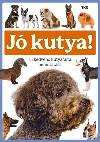 Tkk - J Kutya - 15 Kedvenc Kutyafajta Bemutatsa