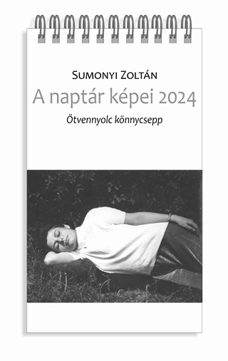 Sumonyi Zoltn - A Naptr Kpei 2024 - tvennyolc Knnycsepp