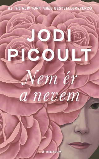 Jodi Picoult - Nem r A Nevem